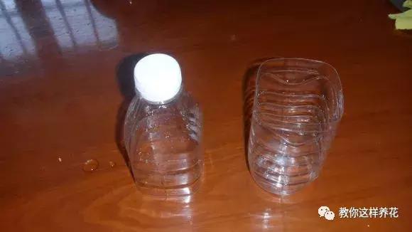 塑料瓶怎么剪可以种花,怎样剪矿泉水瓶种花