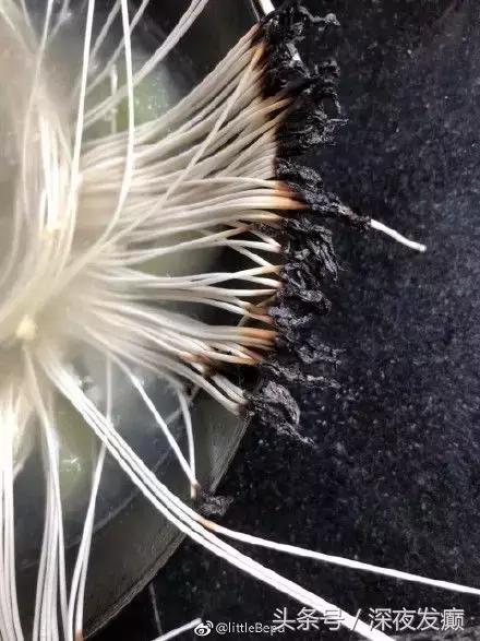 看，这就是让女朋友进厨房的后果