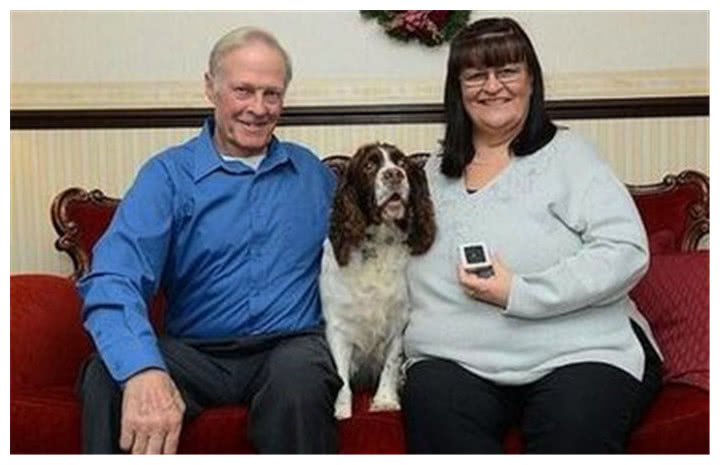 狗狗把石头吞进了肚子里主人伤心,狗狗意外吞石头