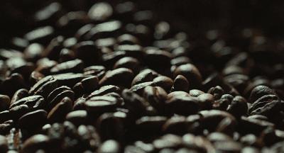 你看起来真好吃歌谱,你看起来真好吃日语