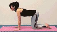 猫牛式跟猫式拱背的区别,瑜伽猫牛式视频
