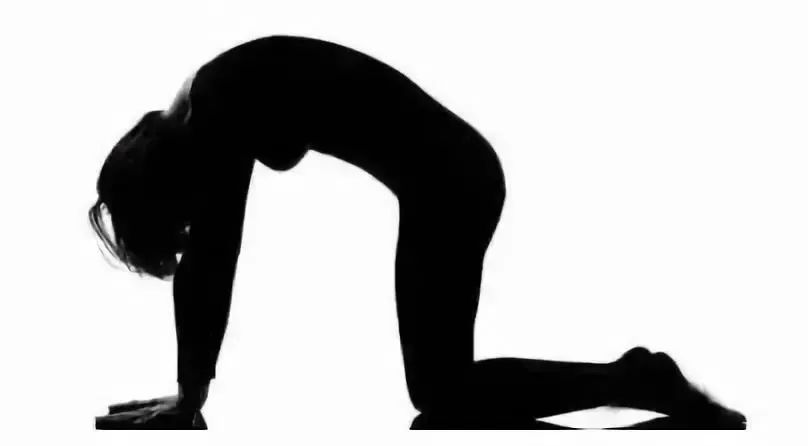 猫牛式跟猫式拱背的区别,瑜伽猫牛式视频