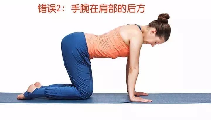 猫牛式跟猫式拱背的区别,瑜伽猫牛式视频