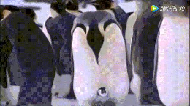 总统喊你来看片，这波硬核安利我吃了