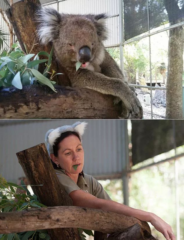 令人捧腹搞笑图片,令人捧腹的搞笑图