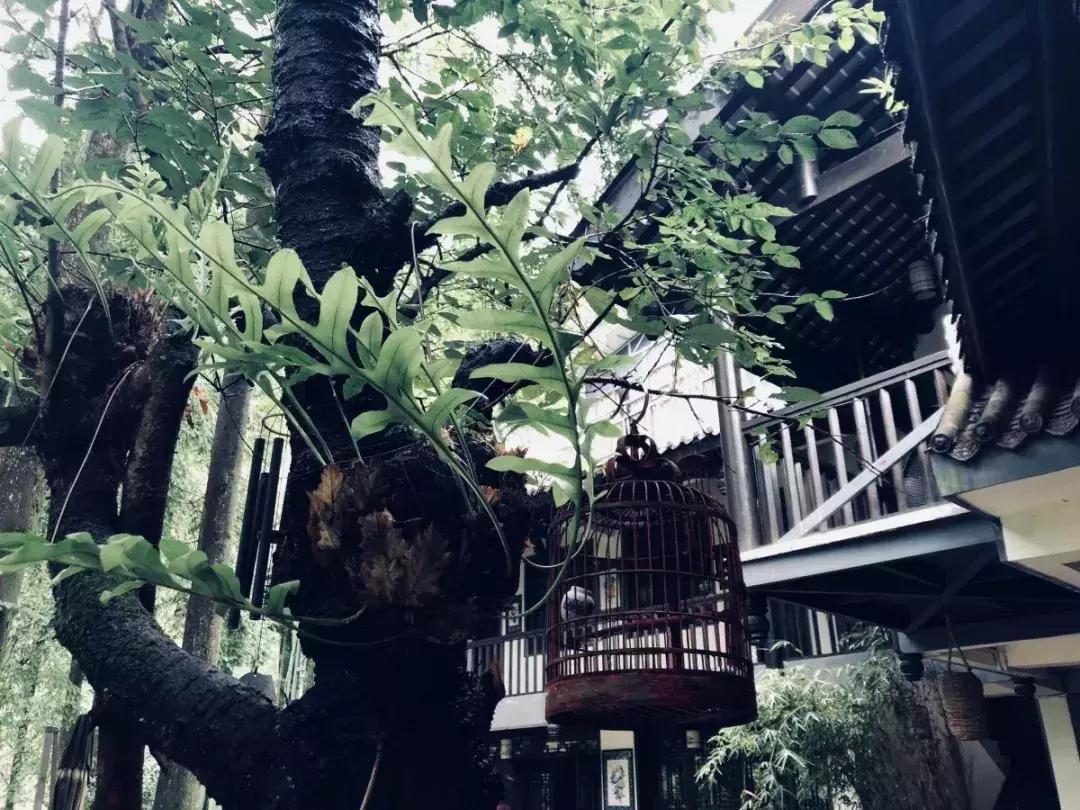 都江堰景区最方便的酒店民宿,都江堰市区酒店民宿推荐