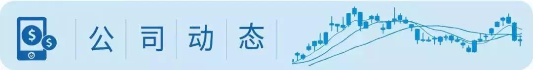 重点关注四大爆发潜力板块机会,今年重点关注板块