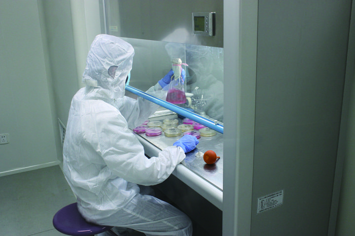 诸暨珍珠粉调面膜,诸暨中药面膜