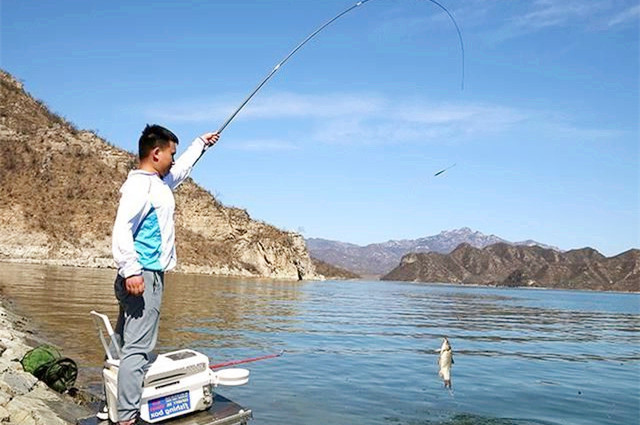 几款野钓鲫鱼的饵料,不要小看这两款鲫鱼饵料