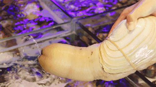 珠海海鲜餐厅湾仔店,珠海最出名的海边海鲜餐厅