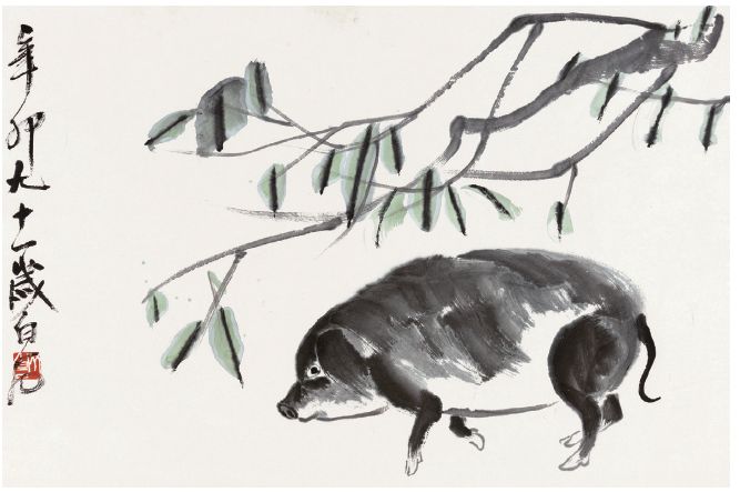 金猪年有多少天,金猪年多少年一遇