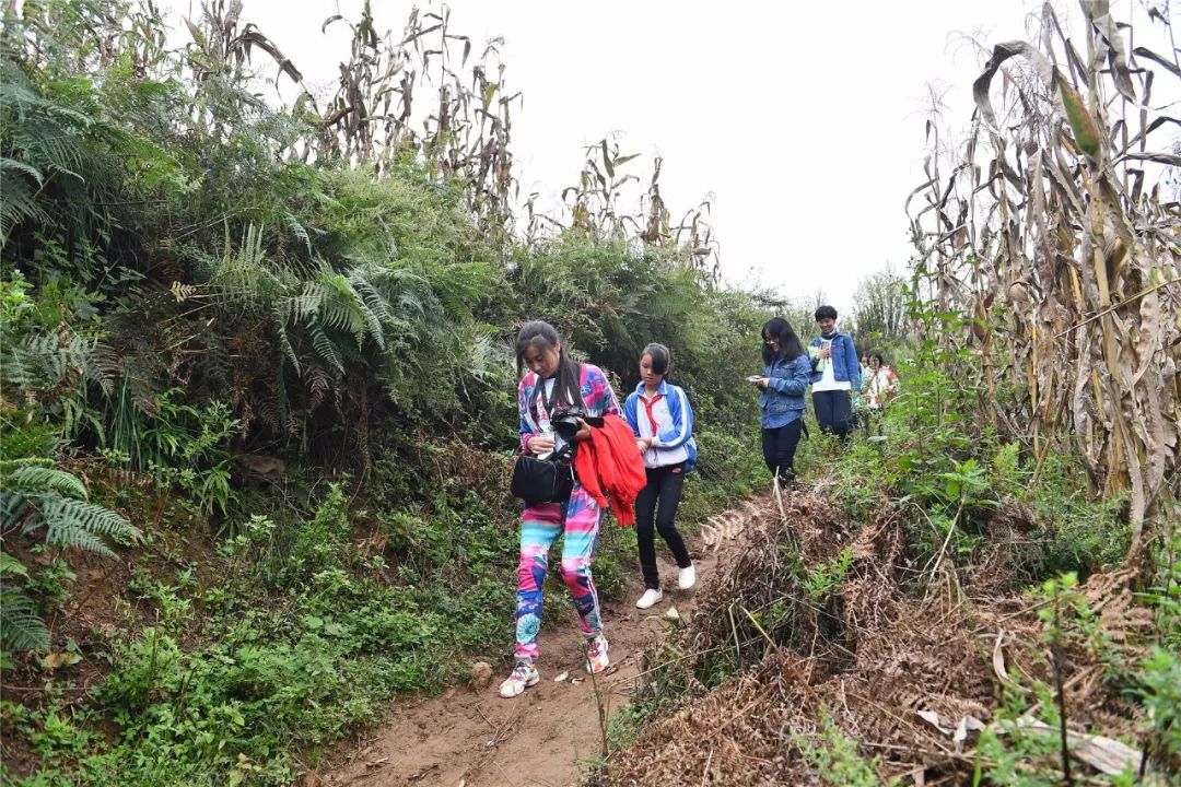一群外来人带着「梦想」的旅行箱,打破了山娃娃们的平静生活……