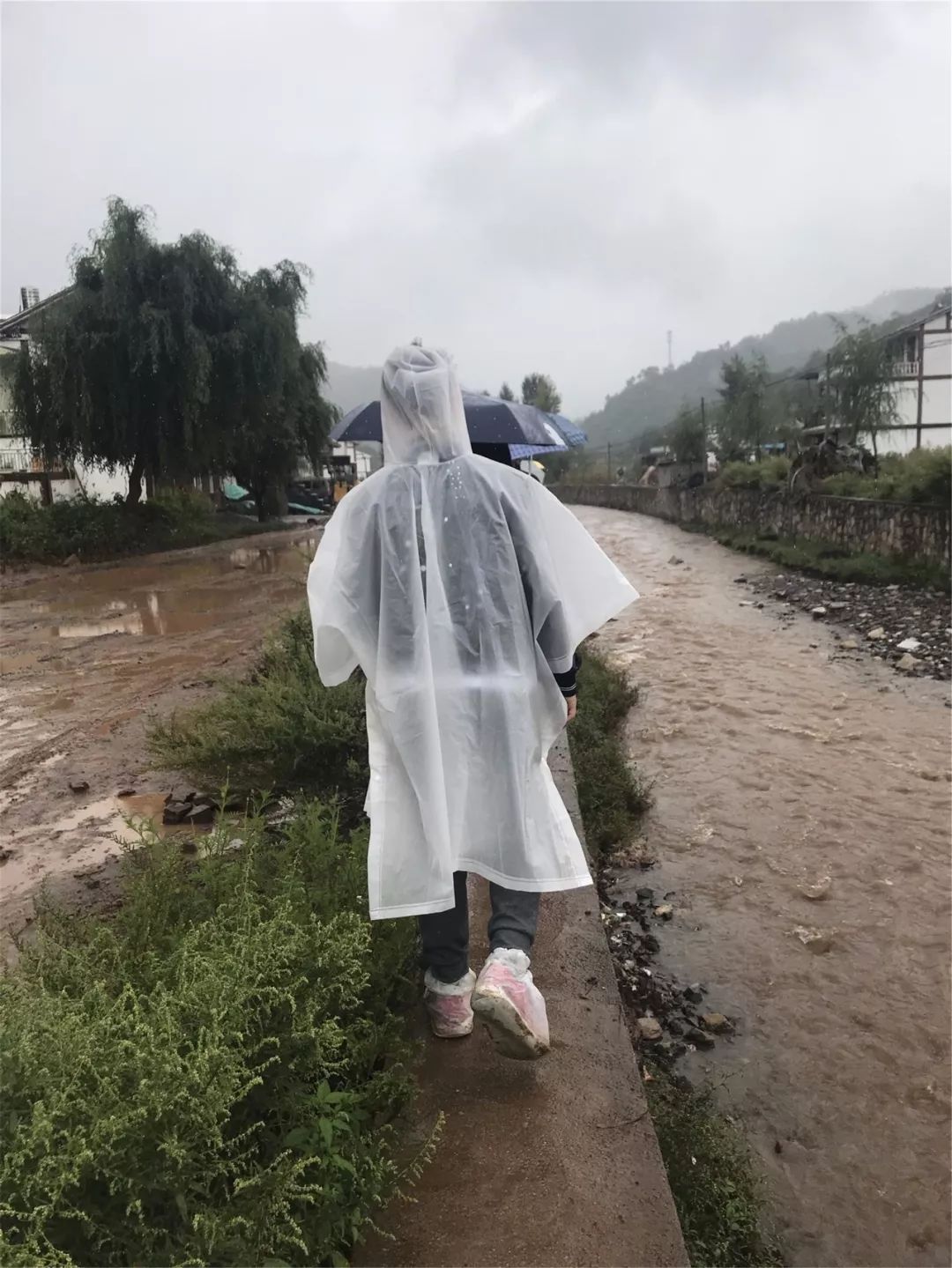 一群外来人带着「梦想」的旅行箱,打破了山娃娃们的平静生活……