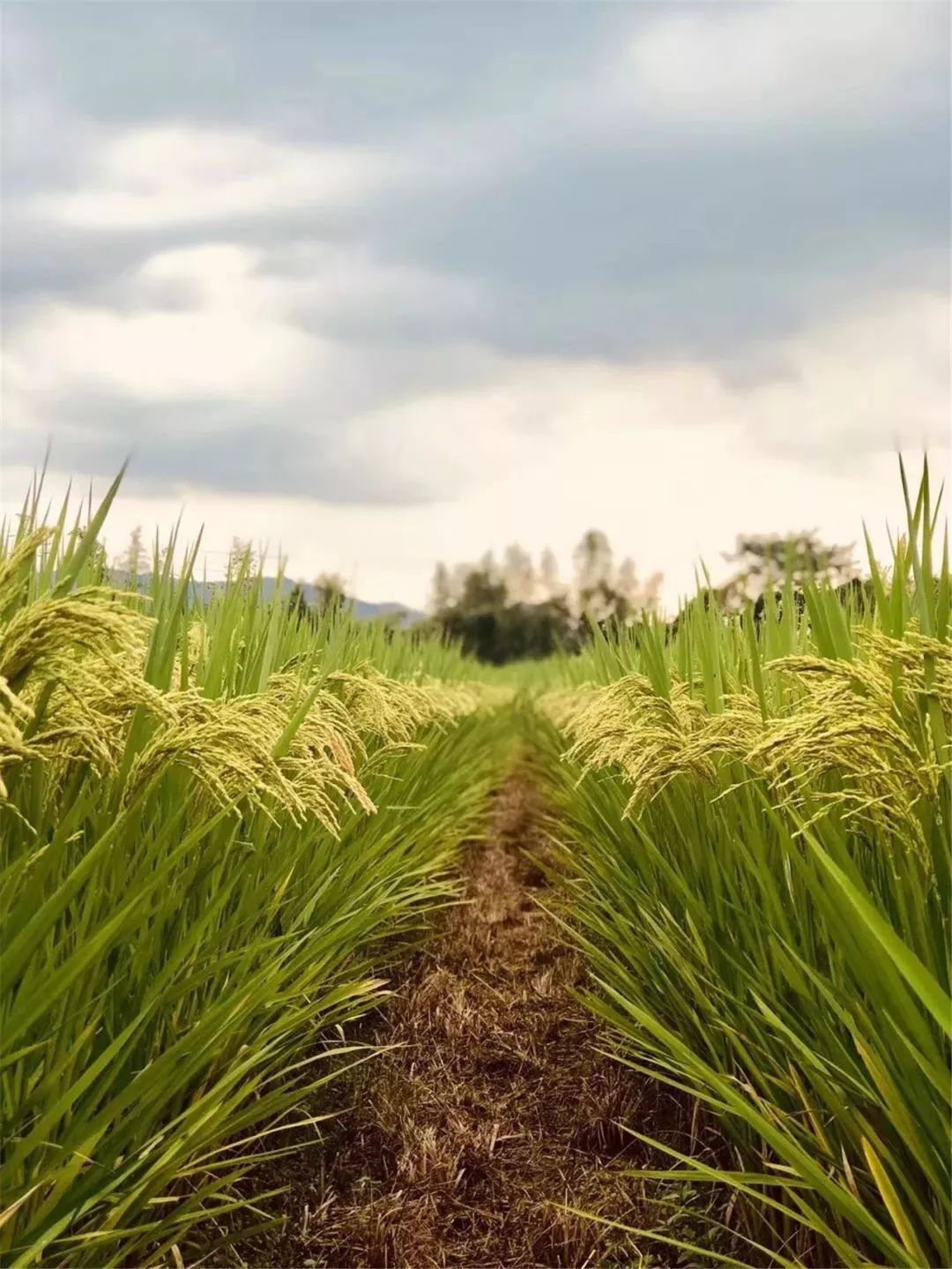 中秋没地方玩,中秋没地方旅游