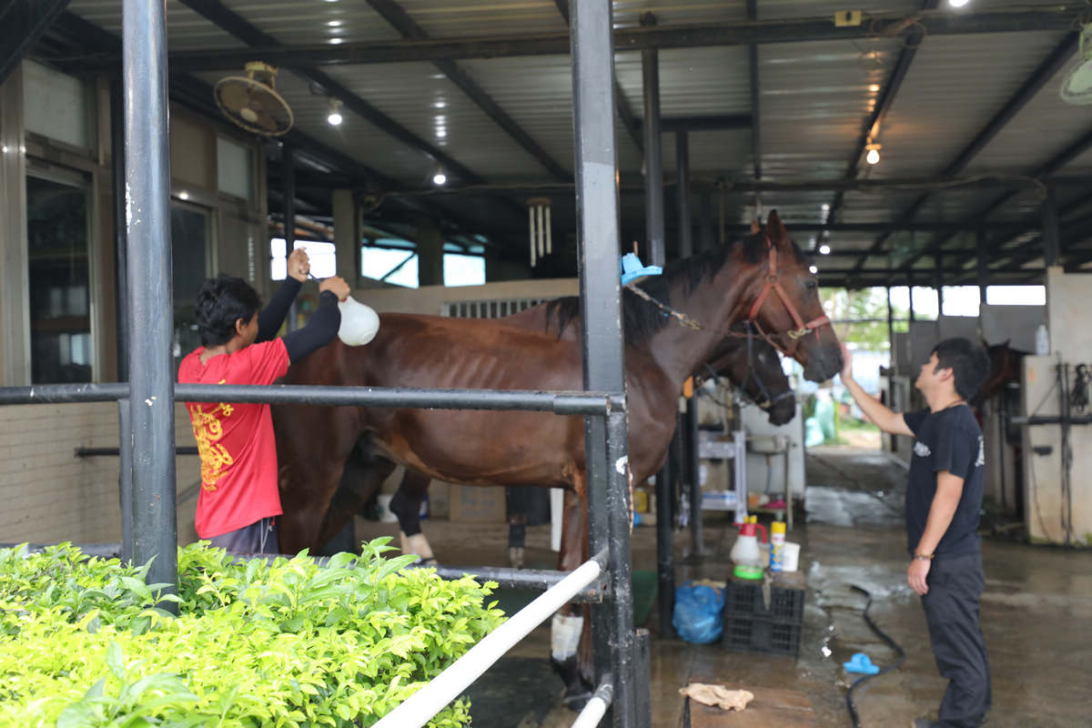 金门半日游,金门适合孩子的旅游景点