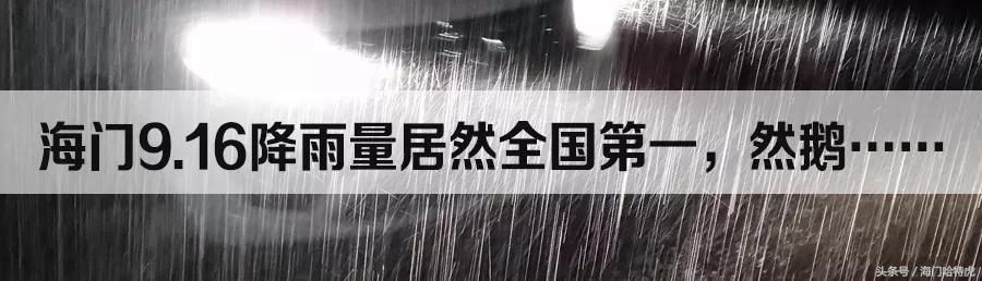 海门步行街网红服装店,海门新开的网红店