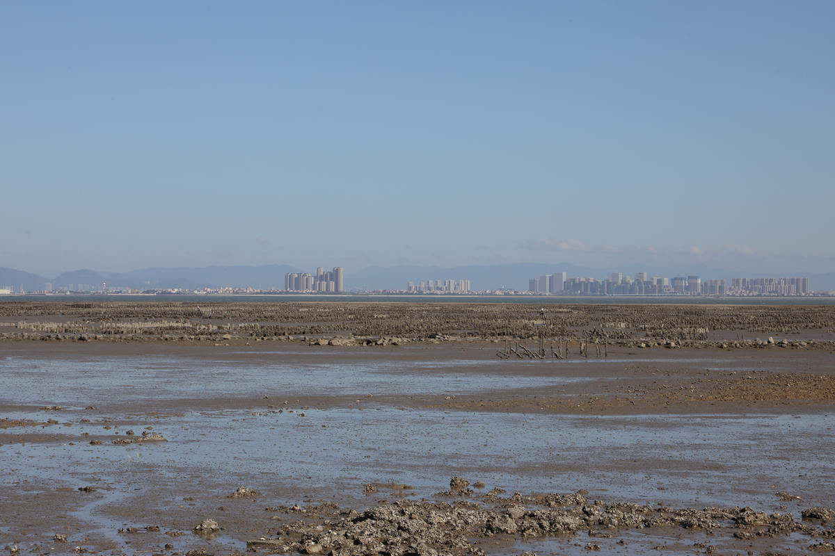 金门半日游,金门适合孩子的旅游景点