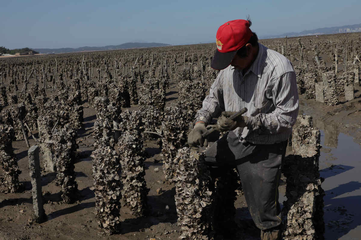 金门半日游,金门适合孩子的旅游景点
