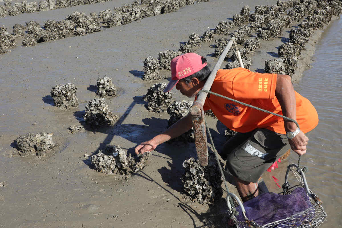 金门半日游,金门适合孩子的旅游景点