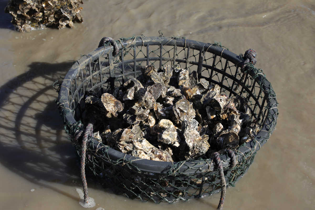 金门半日游,金门适合孩子的旅游景点