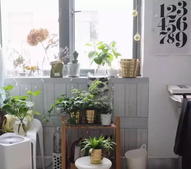 学子进阶攻略｜如何在超小空间的宿舍玩转极简风