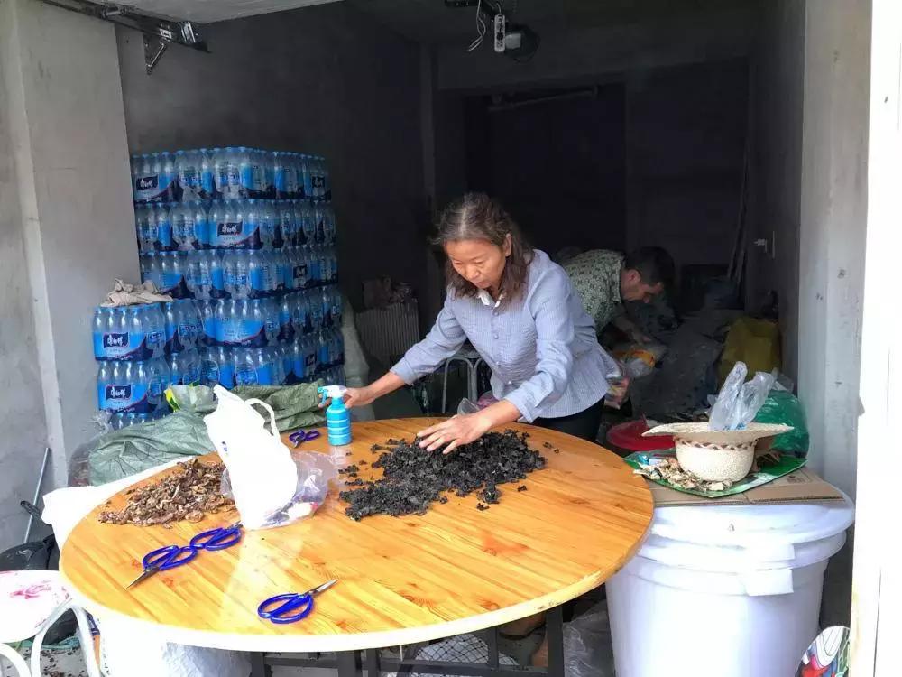 彼得洛夫回不去的老家纪录片全集,东北农村农民的幸福生活