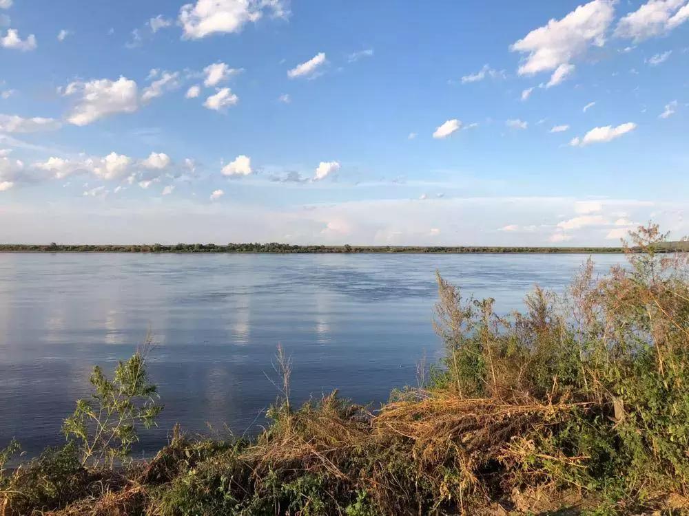 彼得洛夫回不去的老家纪录片全集,东北农村农民的幸福生活