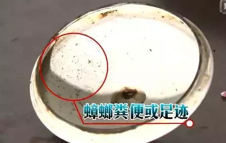 如何在家里把蟑螂弄死,蟑螂头疼