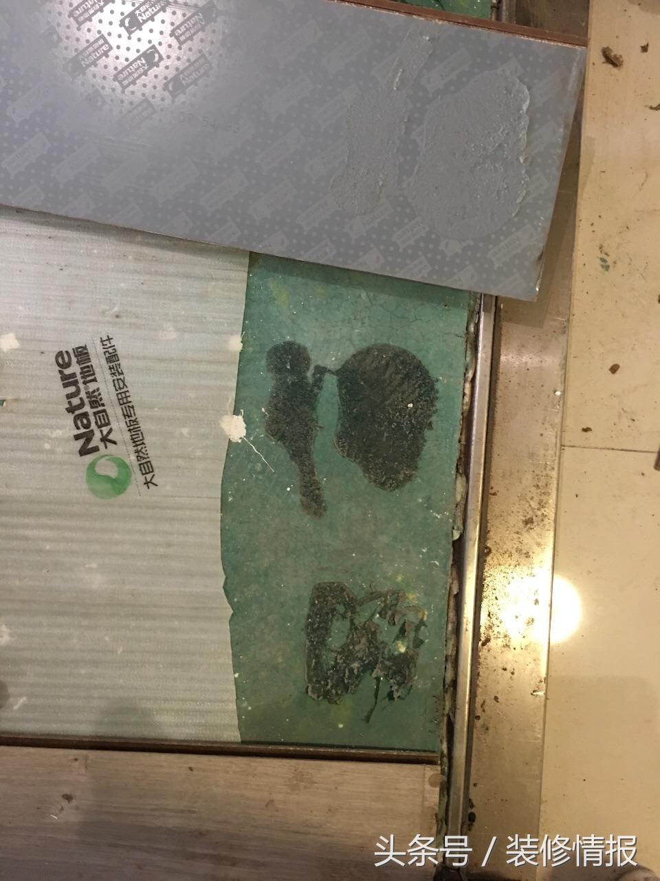 装修地板小知识,大自然地板注意事项