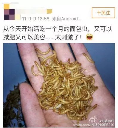 吃虫、喝油、抽肋骨，明星减肥有多恐怖？