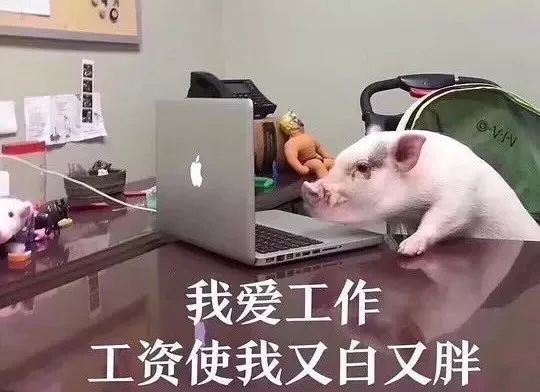 吃虫、喝油、抽肋骨，明星减肥有多恐怖？