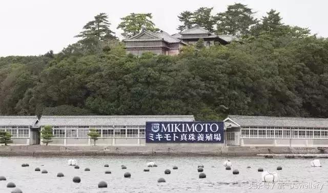 日本akoya珍珠值得收藏吗,日本珍珠akoya值不值得买