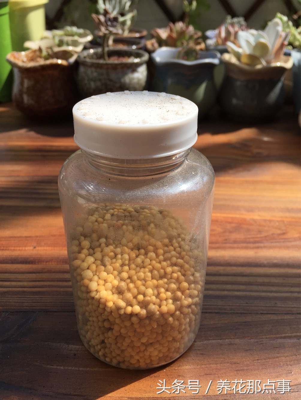 养花就离不开施肥,这6种常见的养花肥料您用过几种