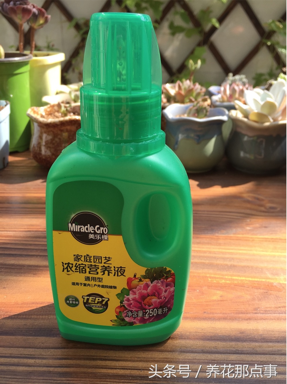 养花就离不开施肥,这6种常见的养花肥料您用过几种