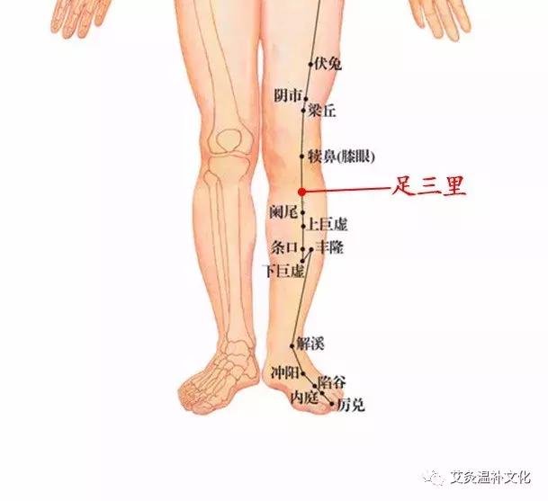 体寒艾灸什么穴位图,体寒艾灸哪个部位图解