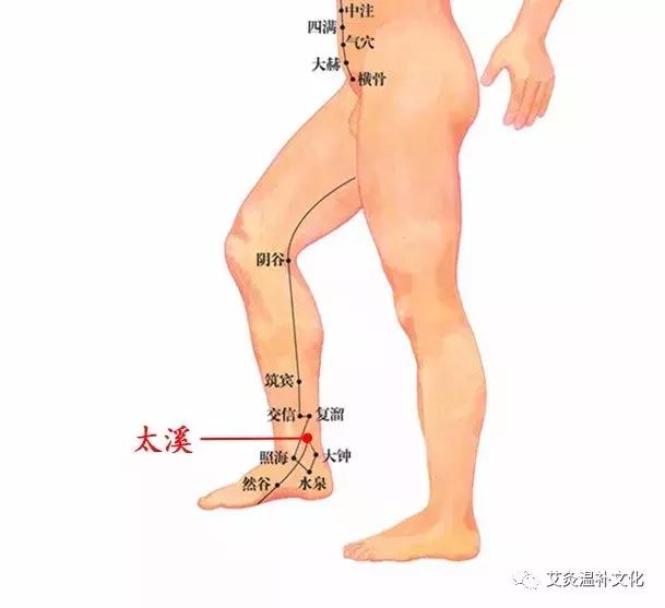 体寒艾灸什么穴位图,体寒艾灸哪个部位图解