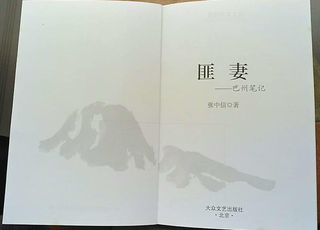 张中信代表作品,张中信巴中