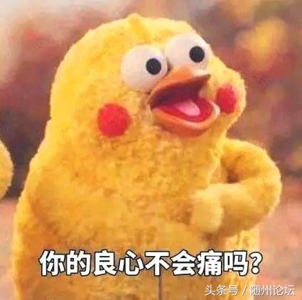 百万豪车被扔掉,百万豪车被扔在高速里