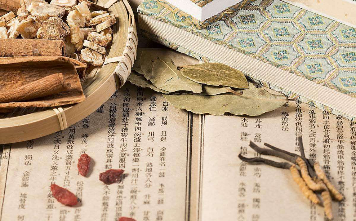 杨家林教授治疗崩漏经验