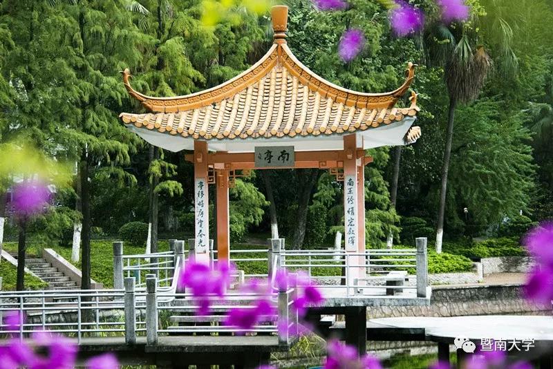 暨南大学硕士报考条件,暨南大学官网研究生招生网站入口