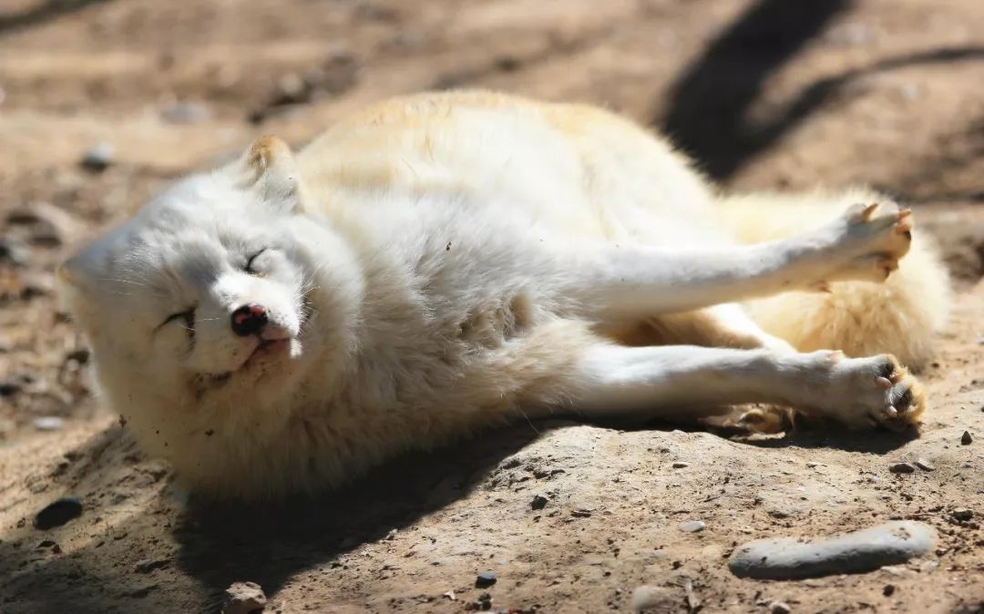 持币过节值得吗,持币过节的我们该怎么办