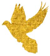 持币过节值得吗,持币过节的我们该怎么办