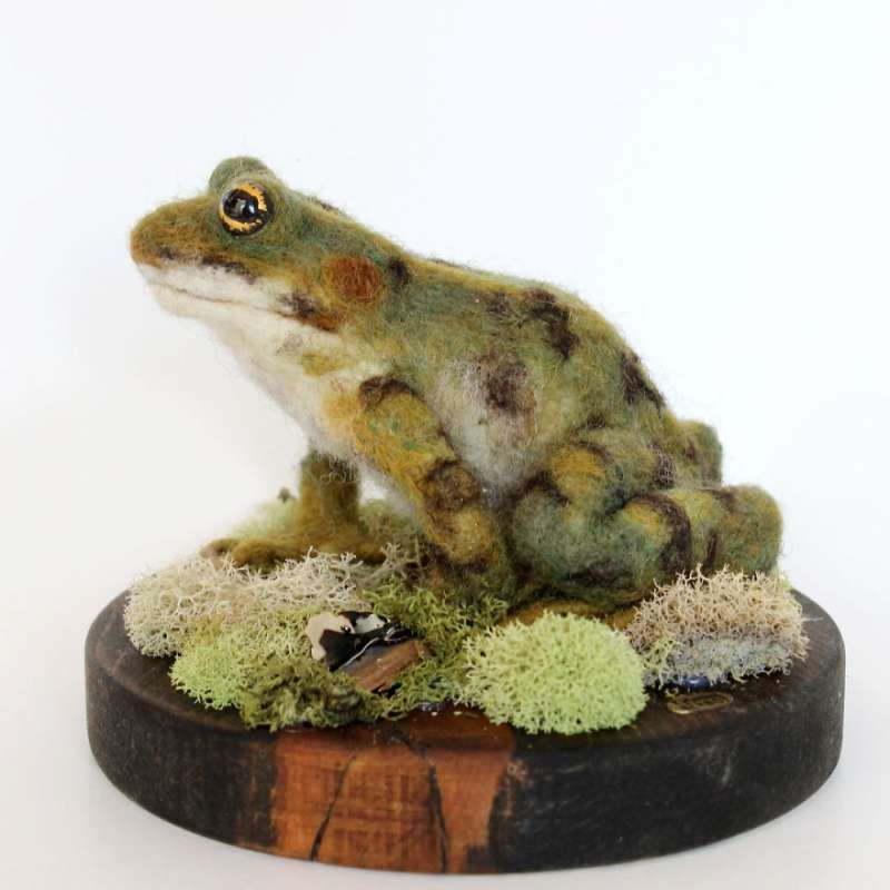 第一眼竟然以为它会动!26个好像有灵魂附体的拟真羊毛毡