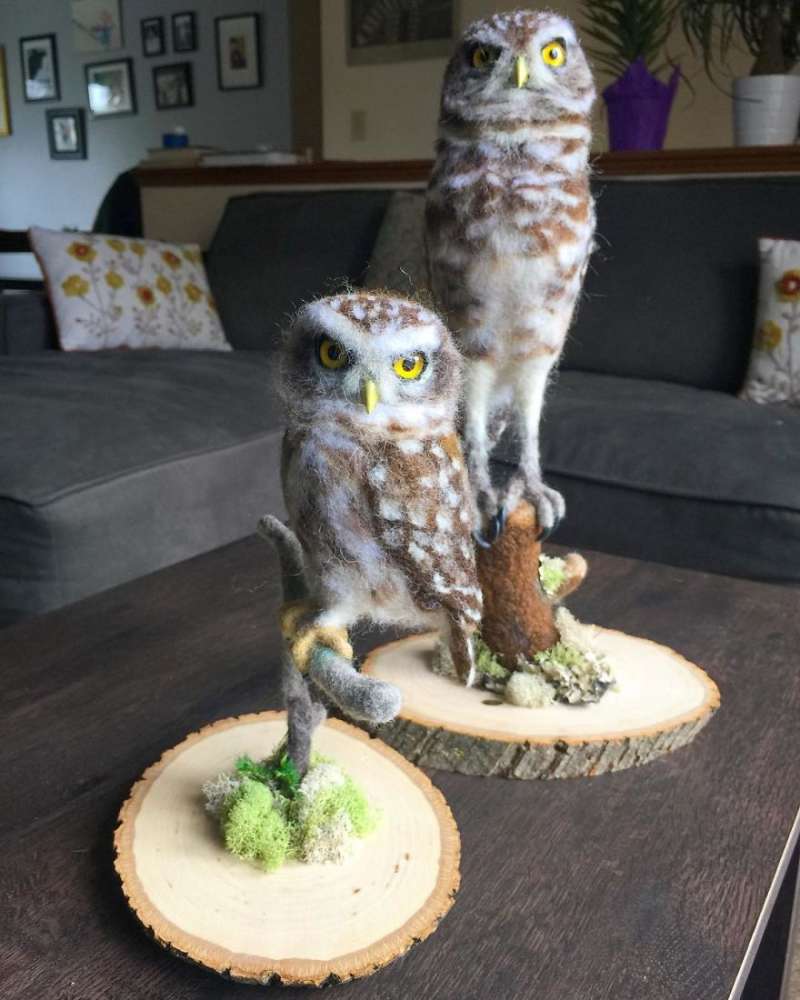 第一眼竟然以为它会动!26个好像有灵魂附体的拟真羊毛毡