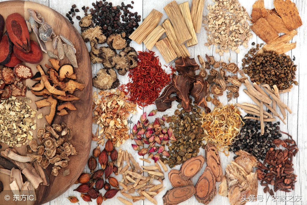 广西中草药产业发展现状,广西名贵药材种植基地名单