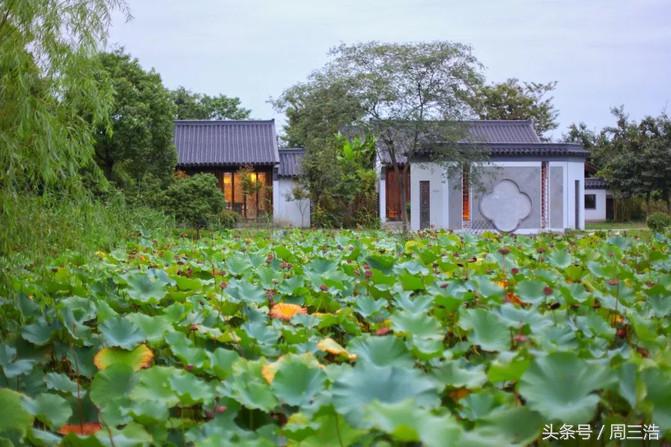 沙家浜夜游旅游攻略大全,沙家浜春节一日游攻略
