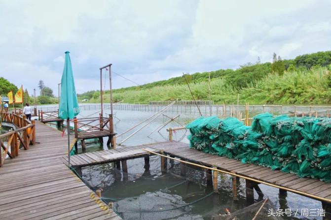 沙家浜夜游旅游攻略大全,沙家浜春节一日游攻略
