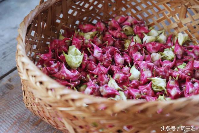 沙家浜夜游旅游攻略大全,沙家浜春节一日游攻略