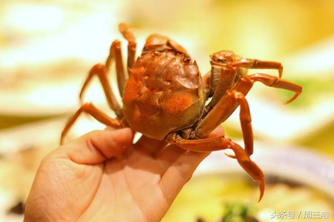 沙家浜夜游旅游攻略大全,沙家浜春节一日游攻略