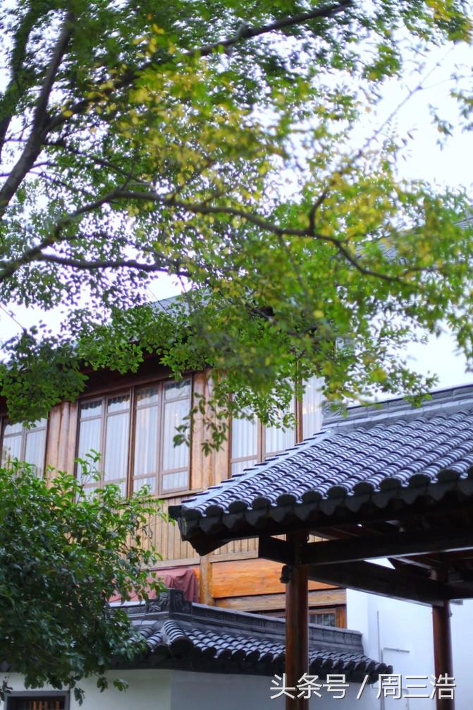 沙家浜夜游旅游攻略大全,沙家浜春节一日游攻略